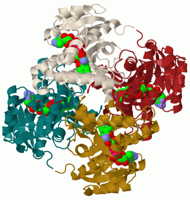 Image Biol.Unit 1 - manually