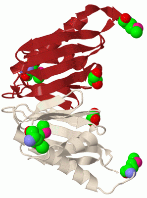 Image Biol.Unit 1 - manually
