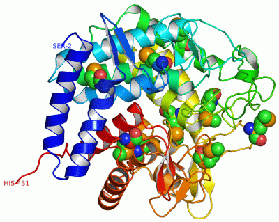 Image Asym./Biol. Unit - manually