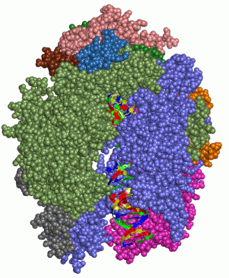 Image Asym./Biol. Unit - manually