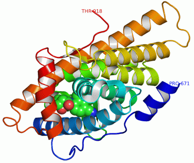 Image Asym./Biol. Unit - manually