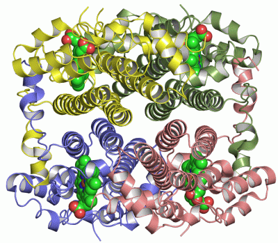 Image Asym./Biol. Unit - manually