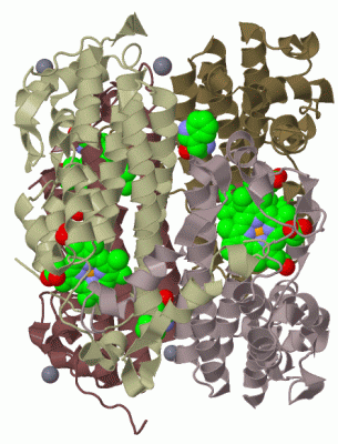 Image Biol.Unit 1 - manually