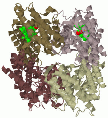 Image Biol.Unit 1 - manually