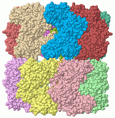 Image Asym./Biol. Unit - manually