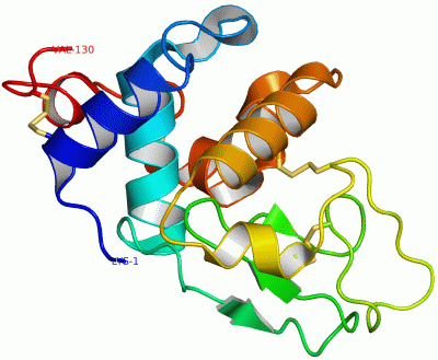 Image Asym./Biol. Unit - manually