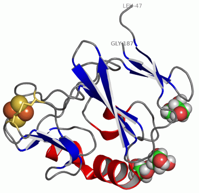 Image Asym./Biol. Unit - manually