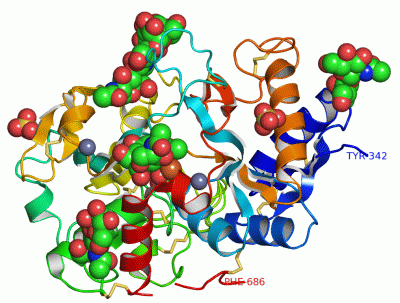 Image Asym./Biol. Unit - manually