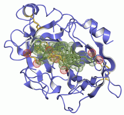 Image Asym./Biol. Unit - manually