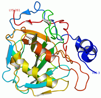 Image Asym./Biol. Unit - manually