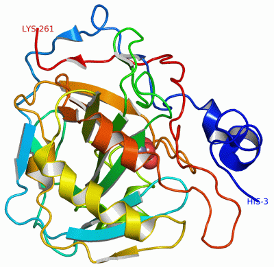 Image Asym./Biol. Unit - manually