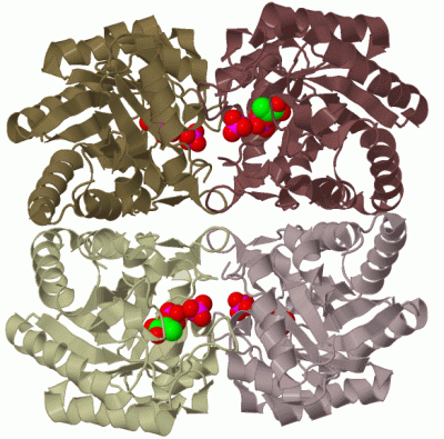 Image Biol.Unit 1 - manually