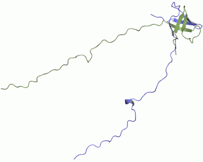 Image NMR Structure - manually
