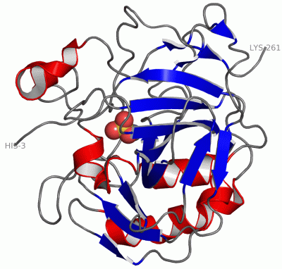 Image Asym./Biol. Unit - manually