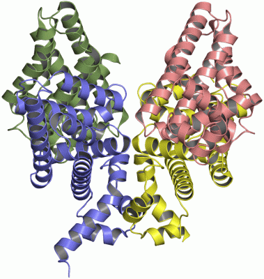 Image Asym.Unit - manually