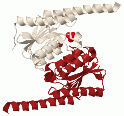 Image Biol.Unit 1 - manually