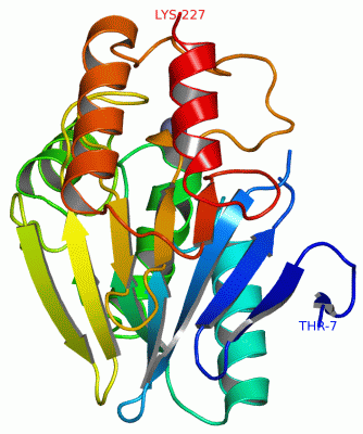 Image Asym./Biol. Unit - manually