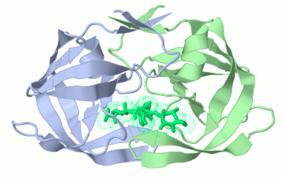 Image Asym./Biol. Unit - manually