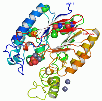 Image Asym./Biol. Unit - manually