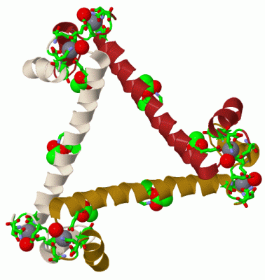 Image Biol.Unit 1 - manually