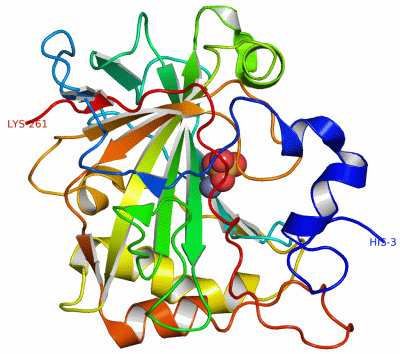 Image Asym./Biol. Unit - manually