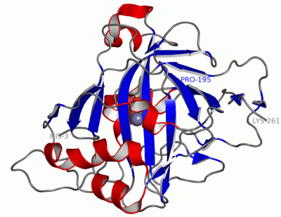 Image Asym./Biol. Unit - manually