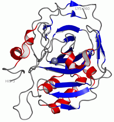 Image Asym./Biol. Unit - manually