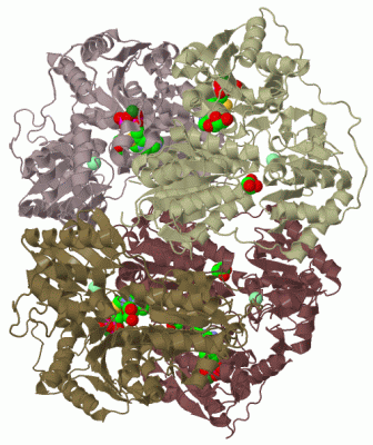 Image Biol.Unit 1 - manually