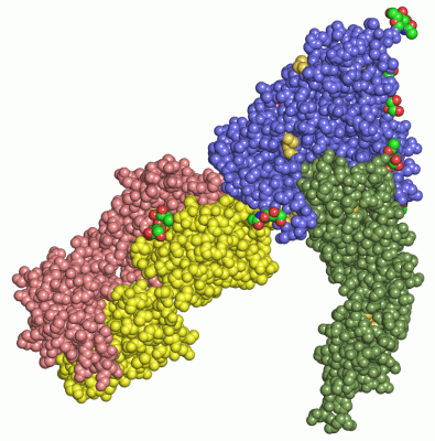 Image Asym./Biol. Unit - manually