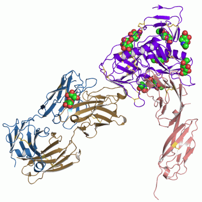 Image Asym./Biol. Unit - manually