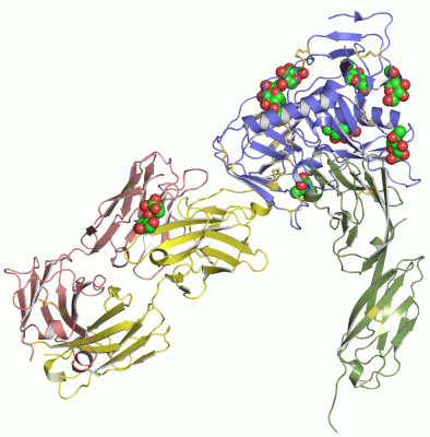 Image Asym./Biol. Unit - manually