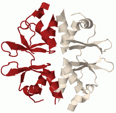 Image Biol.Unit 1 - manually