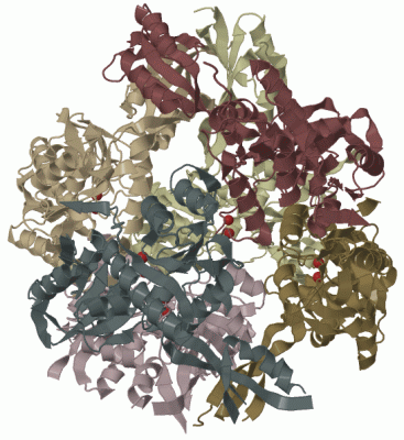 Image Biol.Unit 1 - manually