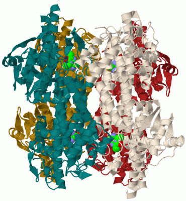 Image Biol.Unit 1 - manually