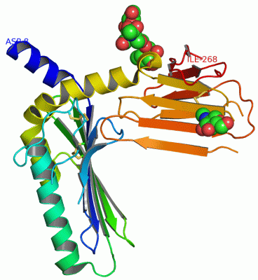 Image Asym./Biol. Unit - manually