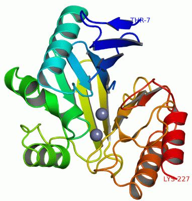 Image Asym./Biol. Unit - manually