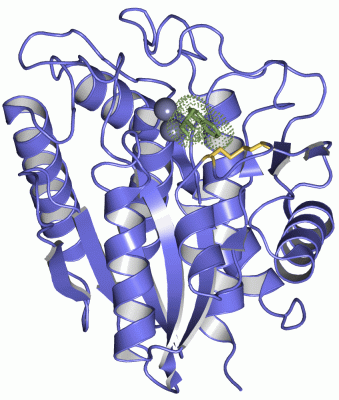 Image Asym./Biol. Unit - manually