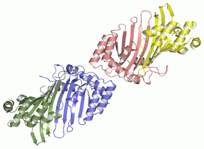 Image Asym./Biol. Unit - manually