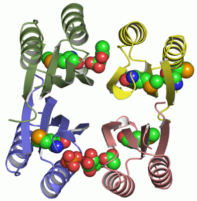 Image Asym./Biol. Unit - manually