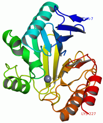 Image Asym./Biol. Unit - manually