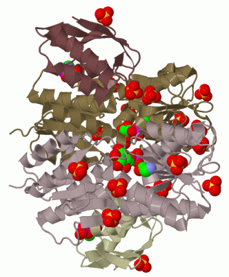 Image Biol.Unit 1 - manually