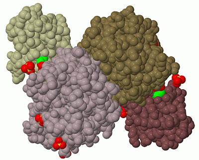 Image Biol.Unit 1 - manually