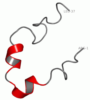 Image NMR Structure - manually