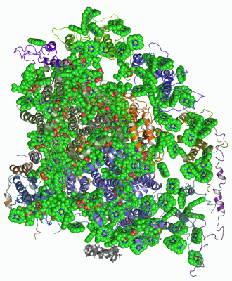 Image Asym./Biol. Unit - manually