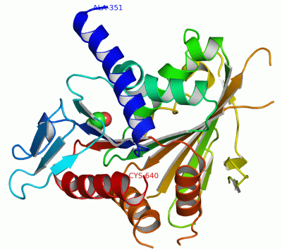 Image Asym./Biol. Unit - manually