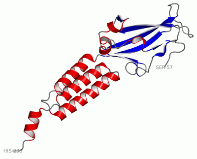 Image Asym./Biol. Unit - manually