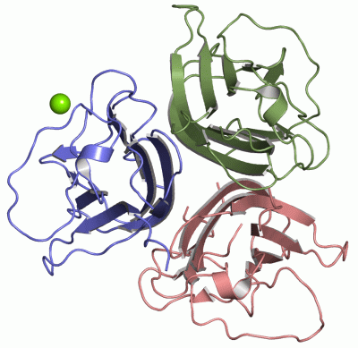 Image Asym./Biol. Unit - manually