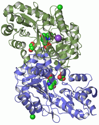 Image Asym./Biol. Unit - manually