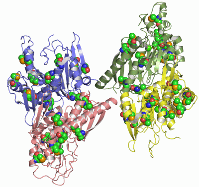 Image Asym./Biol. Unit - manually