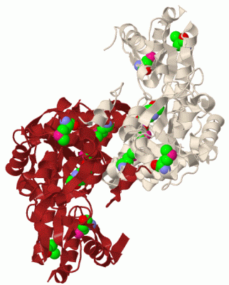 Image Biol.Unit 1 - manually